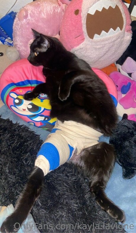 kayla lavigne meilleure star du porno des photos