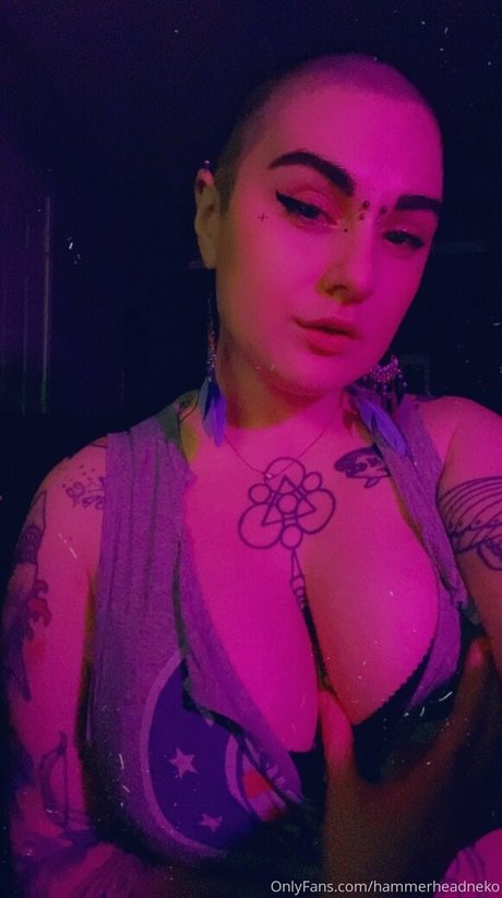 hammerheadneko joli modèle img