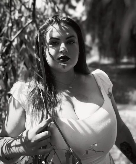 Babu Vale haut étoile des photos