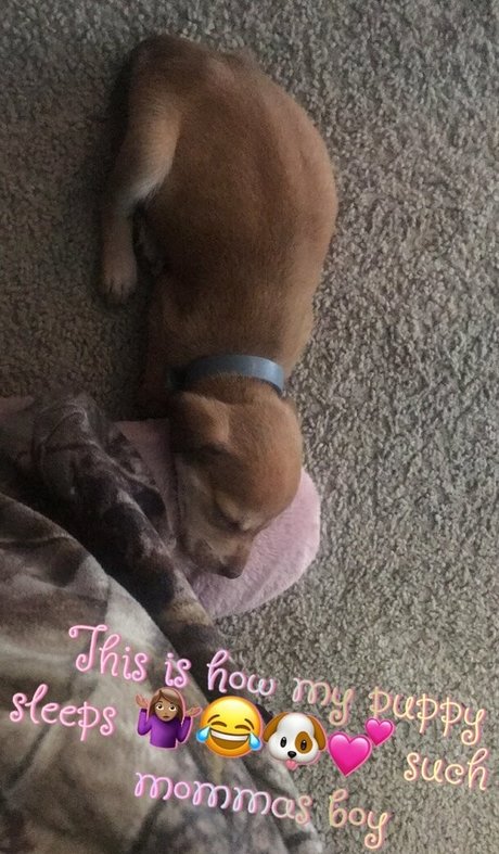 secretrene haut modèle images