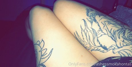 ashessmokahontas étoile de l'art galeries