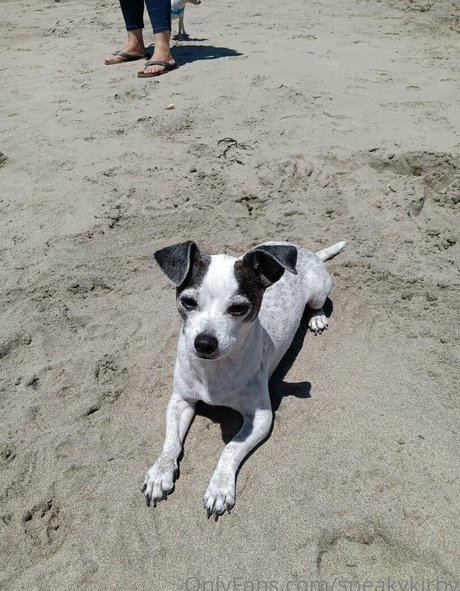 sneakykirby étoile érotique archive