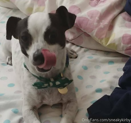 sneakykirby star du porno adulte galerie