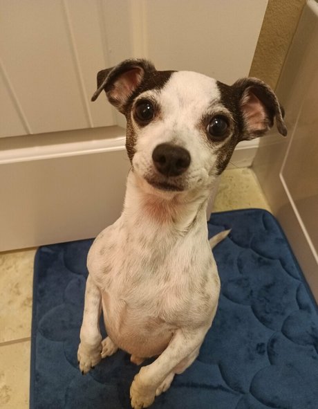 sneakykirby star du porno exclusive archive