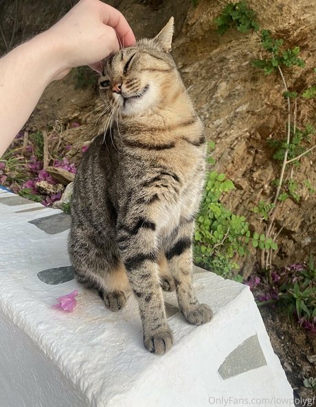 chatte chauve onlyfans chaud joli collection