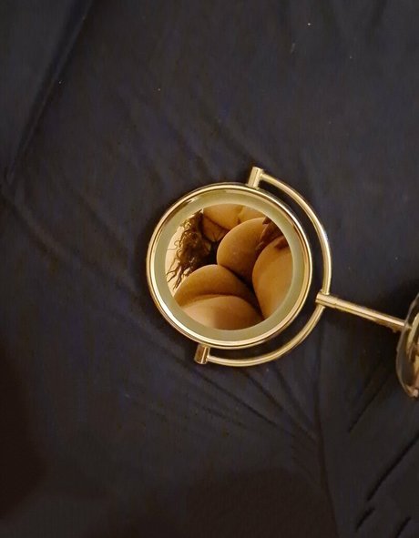 laurabianca1307 étoile gratuite galeries