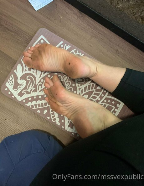 mssvexpublic top star collection