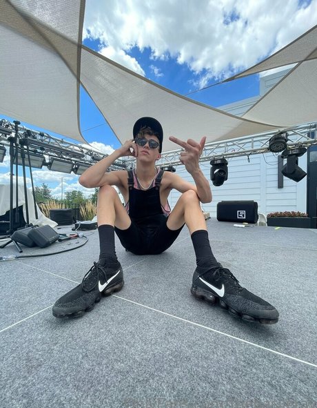 basilgray étoile de haute qualité des photos