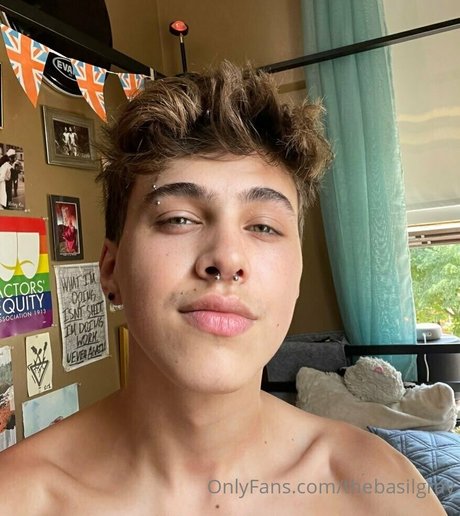 basilgray modèle parfait collection