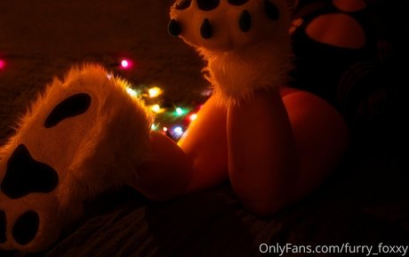 furry foxxy star du porno chaud img