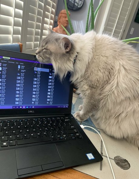 nu dété onlyfans top exclusif collection