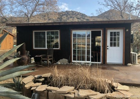 rose la reine meilleur modèle img