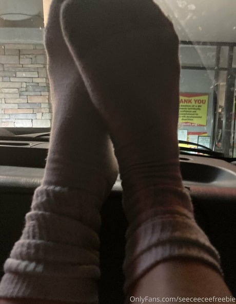 seeceeceefreebie étoile parfaite galerie