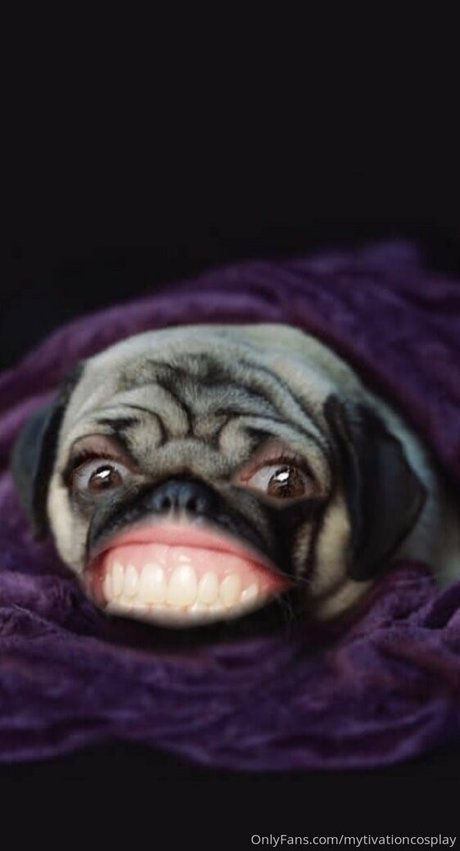 veryyes star du porno photo