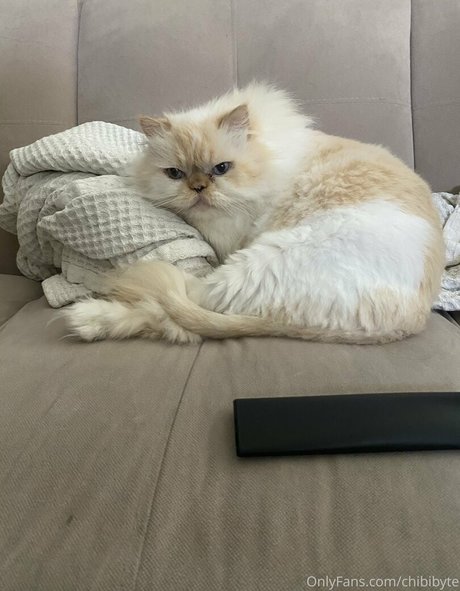 chibibyte actrice sexy images