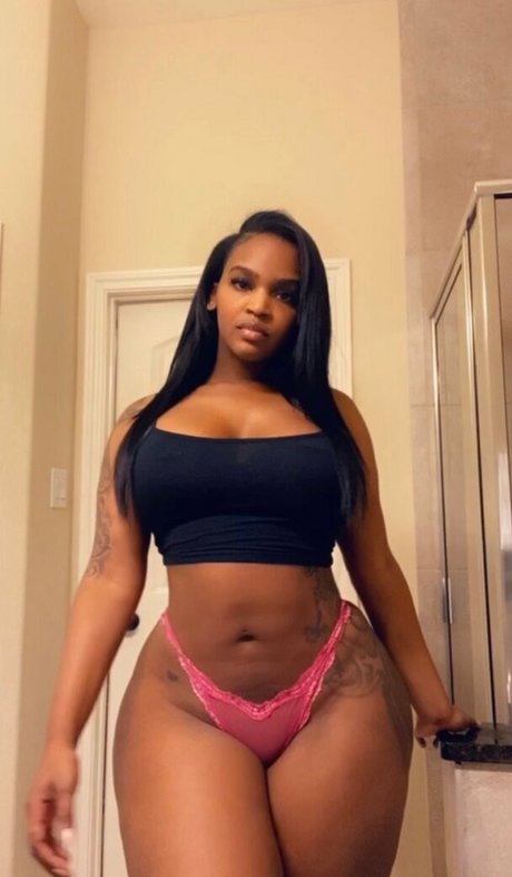 msdamn modèle exclusif galeries