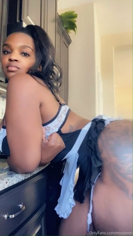 msdamn étoile exclusive galeries