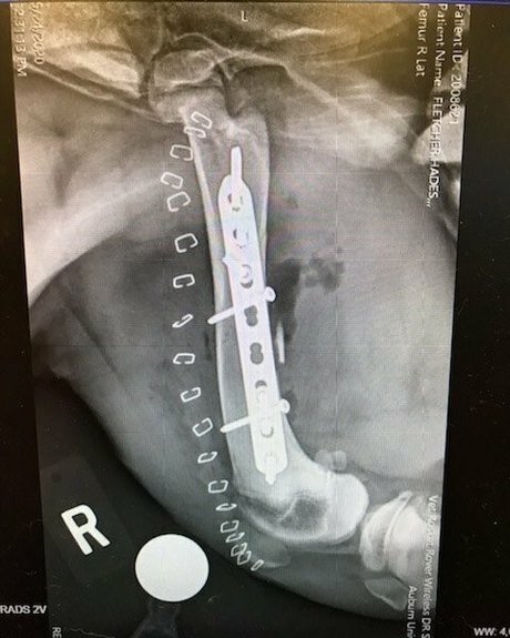 thesarahbnkx star du porno sympa des photos