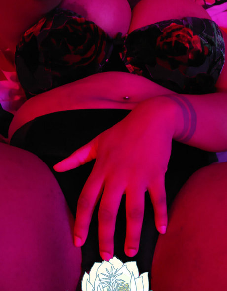 xmgnx star du porno gratuite galeries