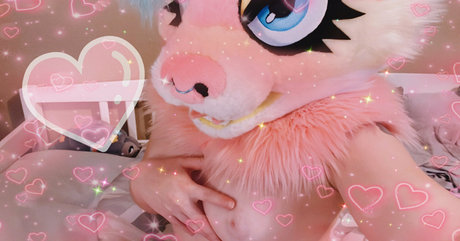 frisskyfeline étoile hd photo