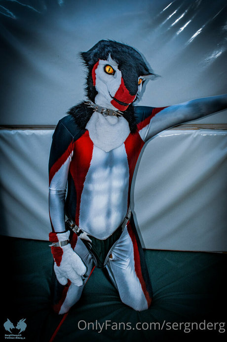 sergnderg étoile hd photo