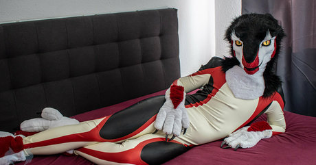 sergnderg modèle hd collection