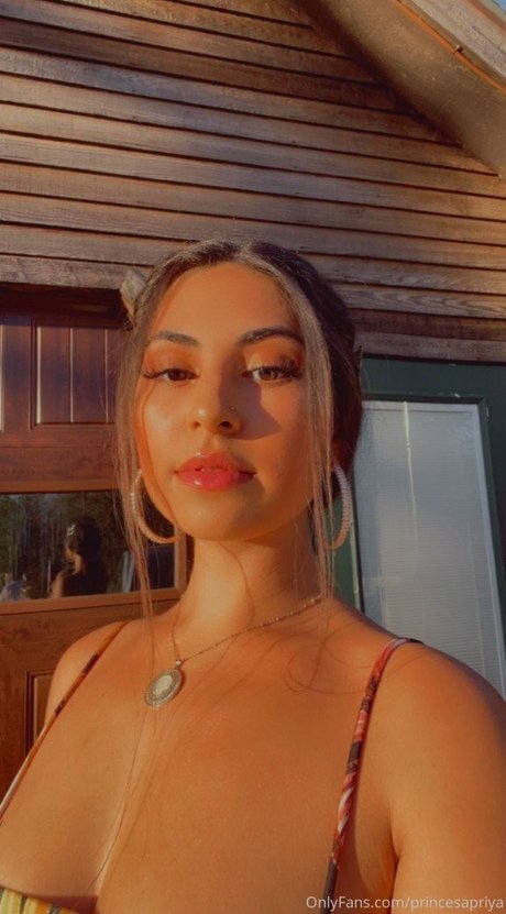 Venezuelan étoile de haute qualité photo