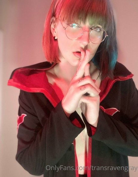 transravengray Profilfoto