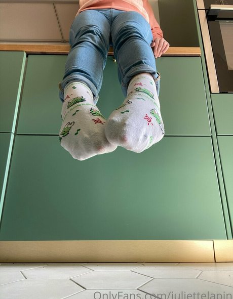 juliettelapin étoile magnifique img