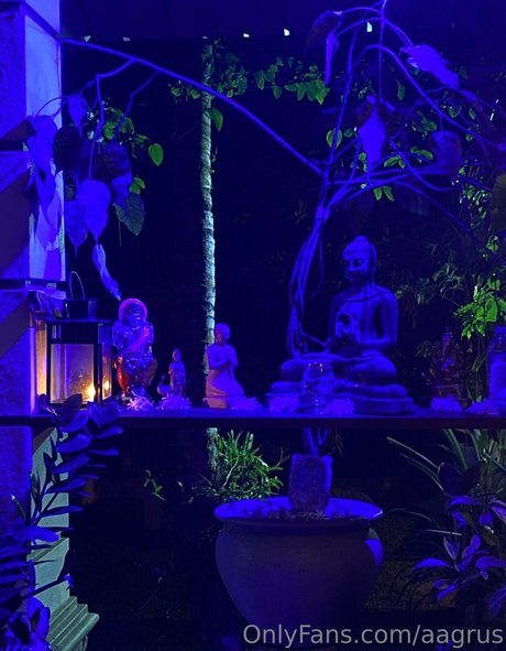 Aagrus modèle artistique collection