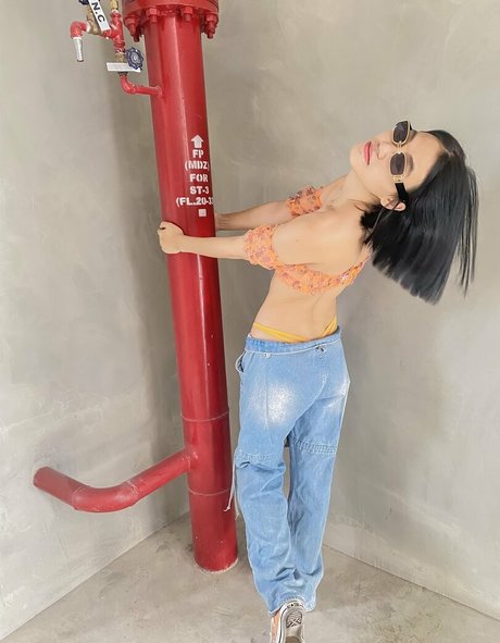 ragisan art étoile des photos