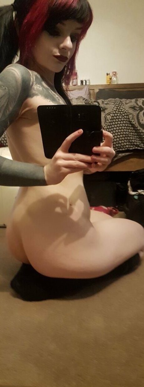 chaton courbé onlyfans beau meilleur collection