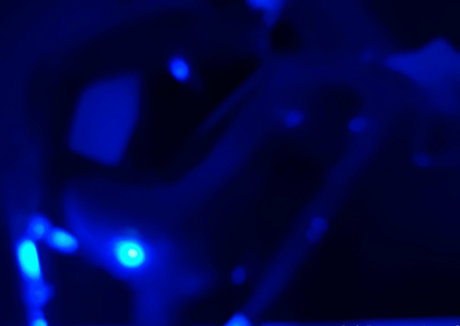 naoof sexe star du porno galerie