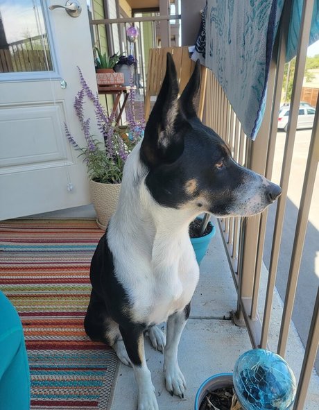 cassievalentine96 étoile xxx photo