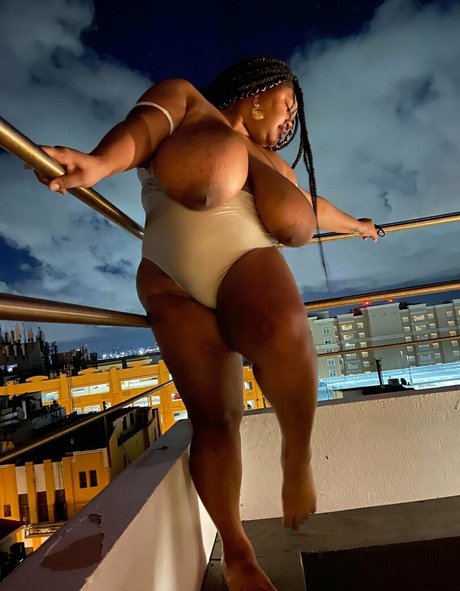 shaneii modèle archive