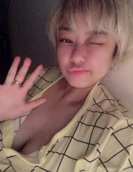 Pchan 666 star du porno belle collection