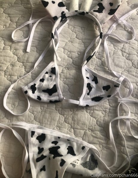 Pchan 666 haut de star du porno galerie