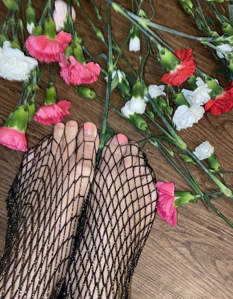 paisleypepper Profilfoto