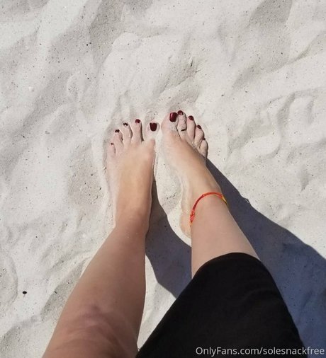 Solesnack belle étoile photo