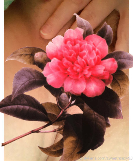 sweetnsexy93 star pornographique galerie