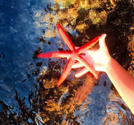 Valentina Venturi nus de stars du porno images