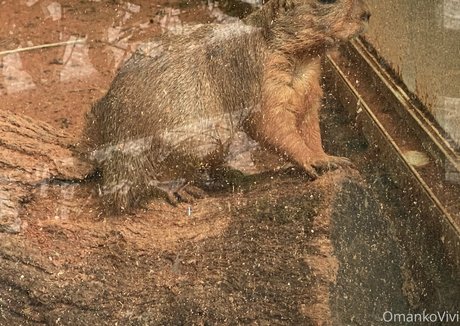 mannequin russe onlyfans plutôt sexy image