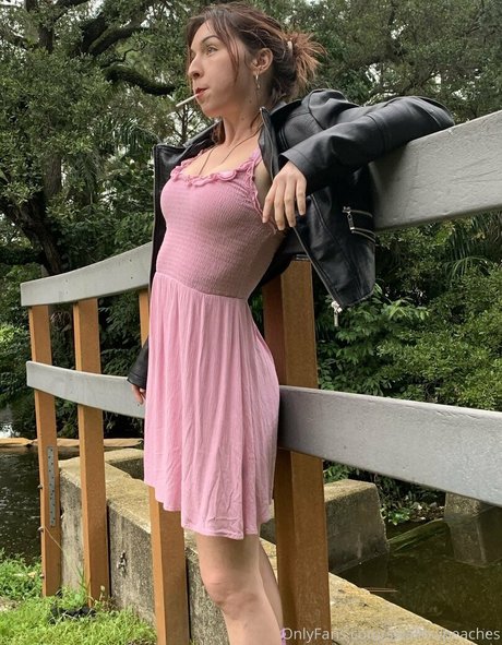 swallowpeaches étoile exclusive galeries