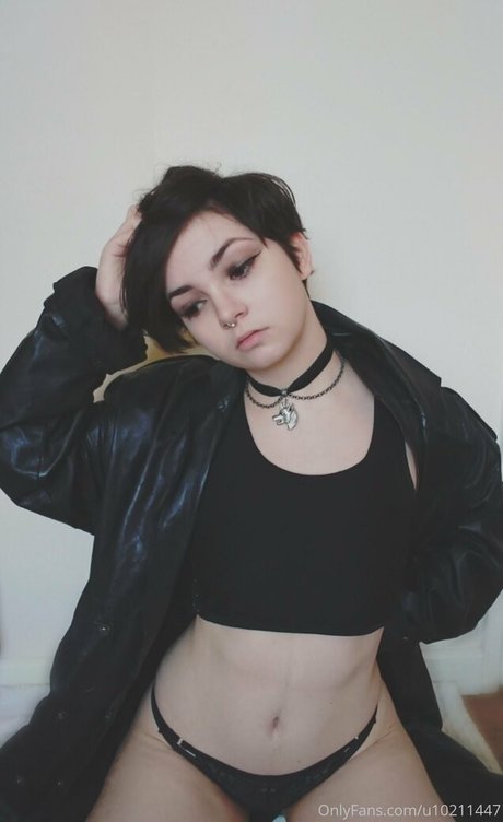 luciuskitten étoile sympa galerie