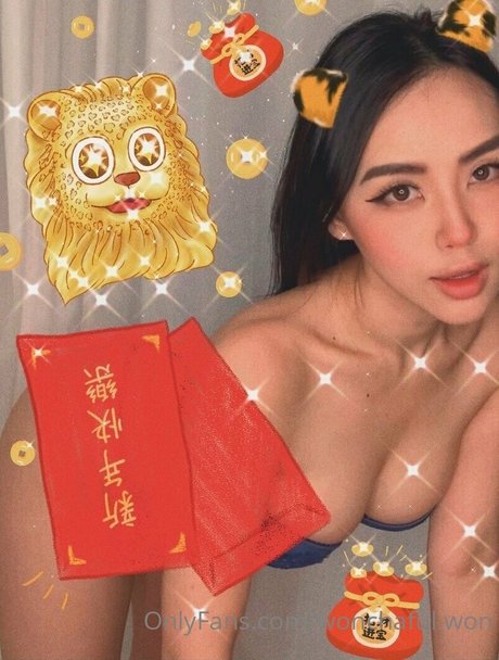 wonchaful won actrice artistique image