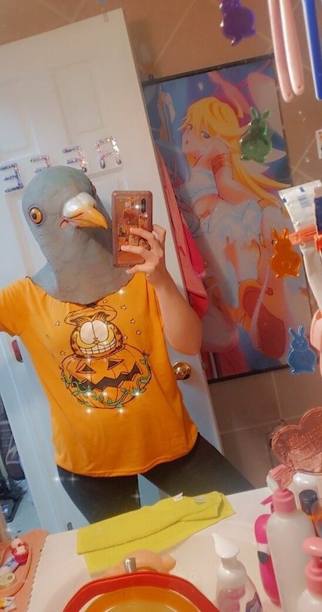 randarice top star archive