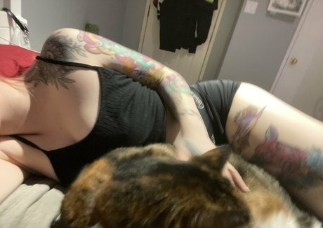 getmeoffpls étoile adulte image