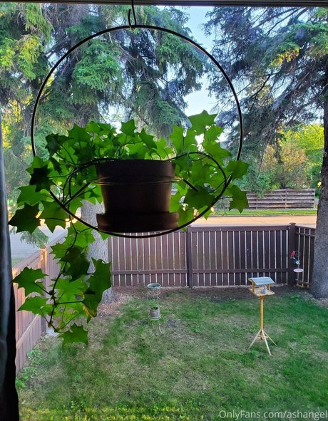 porno uniquementfans hd galerie