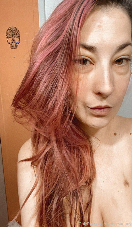 themarsbunny art de star du porno image