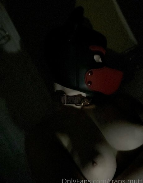 trans mutt étoile adulte img